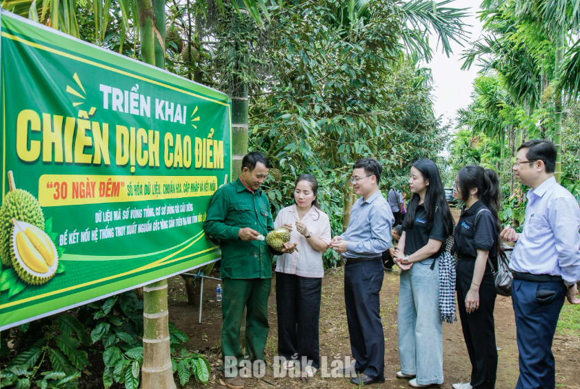 Dữ liệu số - "Tấm hộ chiếu" mới của sầu riêng Đắk Lắk